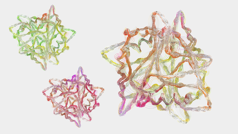 MosaicDX Amino Acids Test - 24 Hour Image