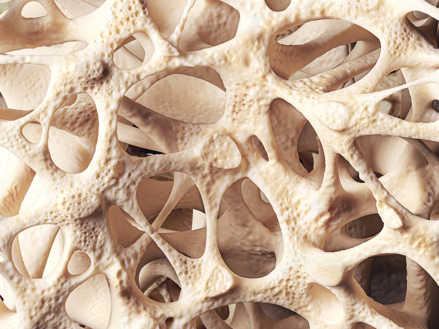 Calcium + Magnesium Profile