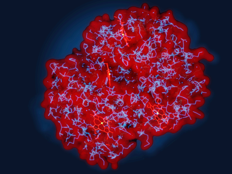 Porphyrins Profile