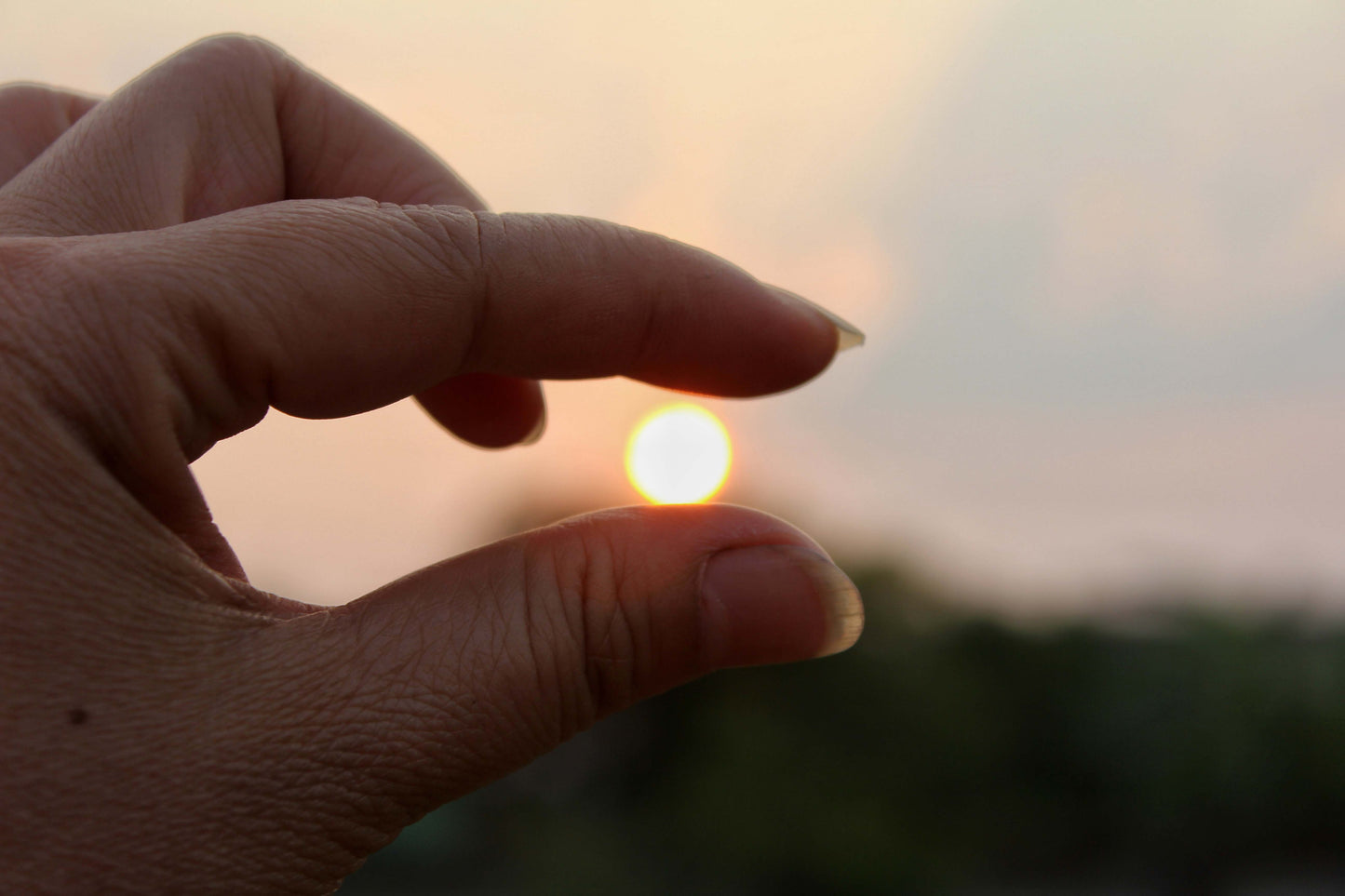 Vitamin D Test - DBS